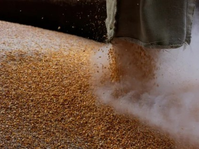 Nước láng giềng thân thiết dừng nhập khẩu ngũ cốc của Ukraine