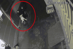Pháp luật - CLIP: Khổ chủ ngỡ ngàng "có camera nhưng không hiểu trộm vào kiểu gì"