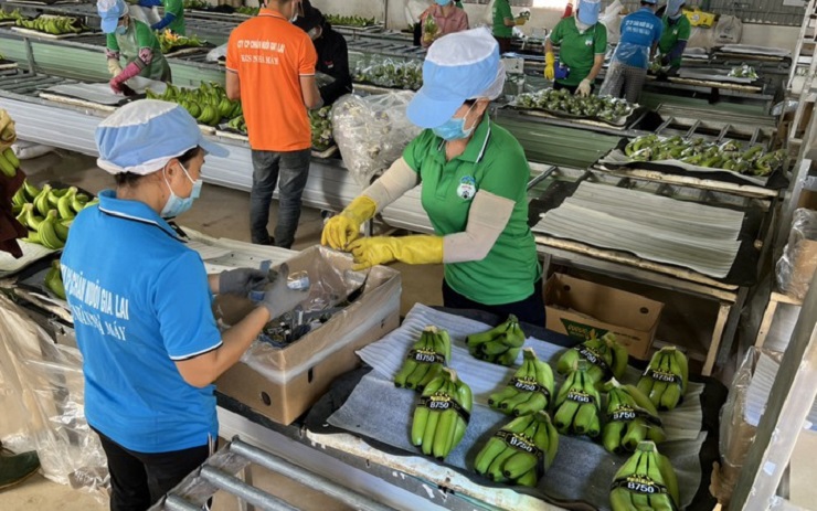 Công ty CP Hoàng Anh Gia Lai (mã chứng khoán: HAG) và Công ty CP Nông nghiệp Quốc tế Hoàng Anh Gia Lai (mã chứng khoán: HNG) không đủ điều kiện giao dịch ký quỹ