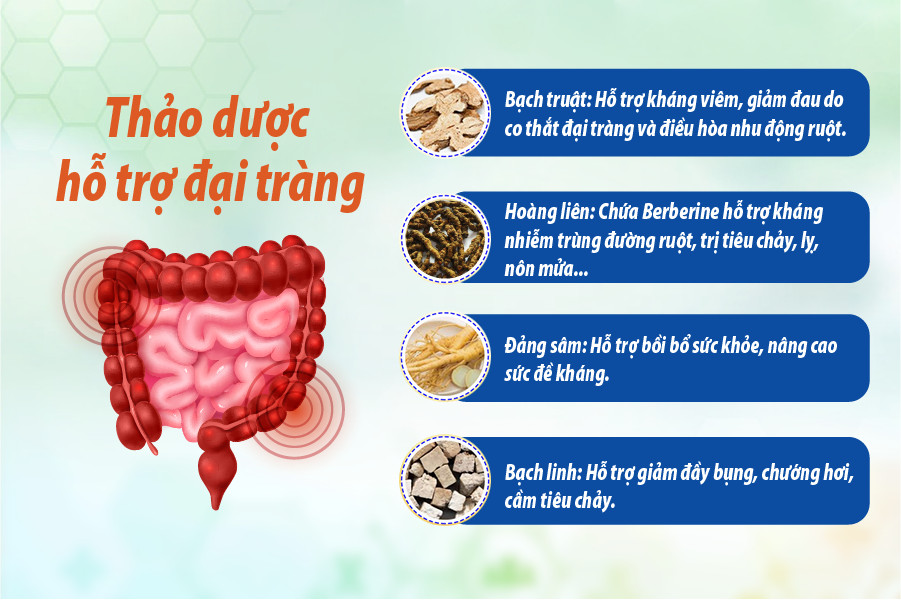Đại tràng Extra Tâm Bình: Sự kết hợp thảo dược và tinh chất tự nhiên - 2