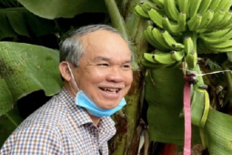 Kinh doanh - Đại gia tuần qua: Doanh nghiệp bầu Đức mang về hơn 14 tỷ đồng chủ yếu từ bán chuối