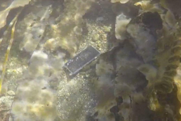 Pháp luật - Tội ác của gã đàn ông khiến người yêu cũ có thai: Chiếc điện thoại dưới đáy biển