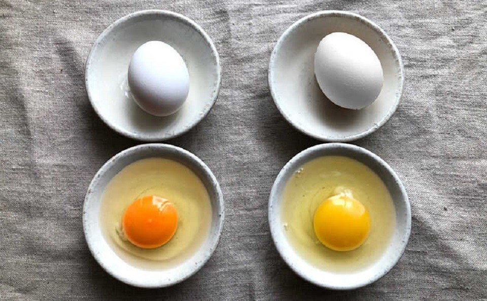 Lòng đỏ trứng có màu cam tốt hơn hay màu vàng? - 1