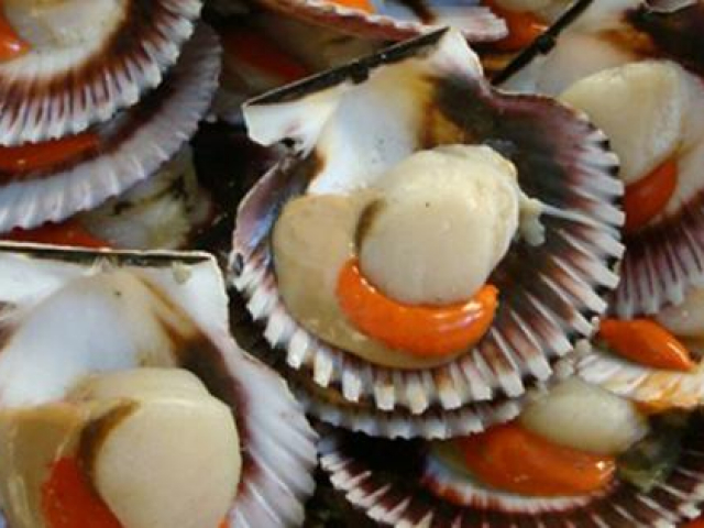 Sức khỏe đời sống - Sò điệp có tốt cho phụ nữ mang thai?