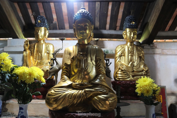 Bức tượng 'đầu người đội Phật' hơn 1.000 năm tuổi ở Nghệ An - 7