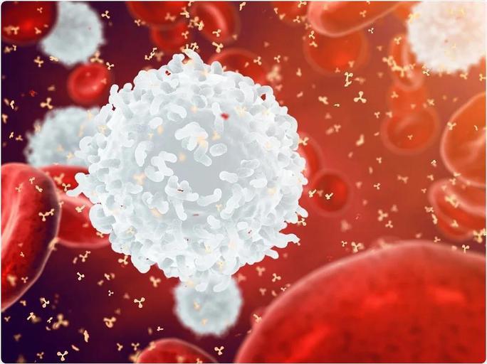 Tế bào B đã hành động để chống lại thứ mà nó nghĩ là liên quan đến virus cổ đại, một cơ chế có tiềm năng giúp tạo ra vắc-xin ngừa và trị ung thư - Ảnh: NEWS MEDICAL