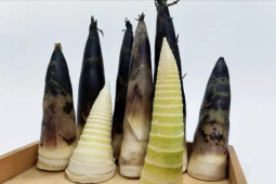 Ẩm thực - Xào măng có cần chần qua không? Làm sai măng sẽ không ngon