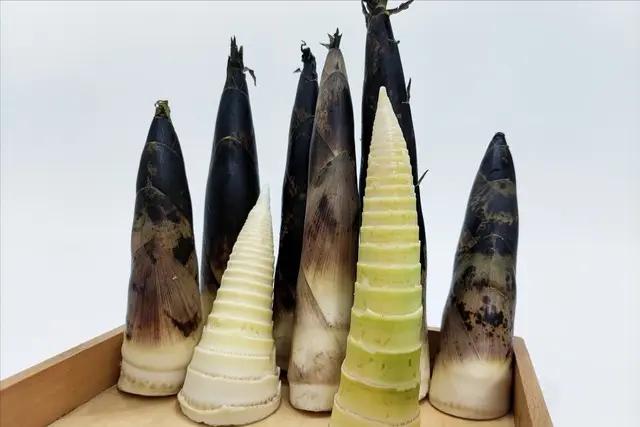 Xào măng có cần chần qua không? Làm sai măng sẽ không ngon - 3