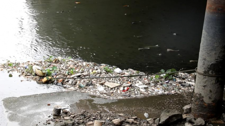 Mưa lớn, cá chết đầy kênh Nhiêu Lộc – Thị Nghè - 5
