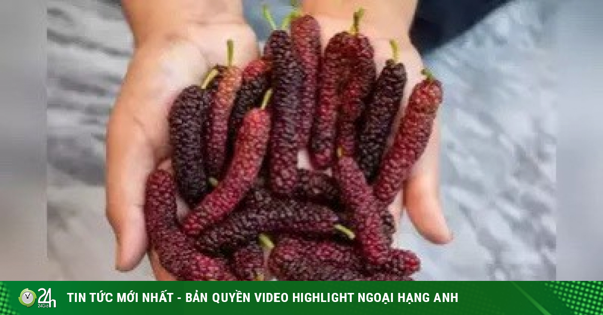 Blackberry can improve digestion, reduce inflammation and blood