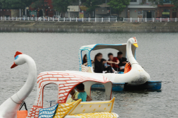 Tin tức trong ngày - HN: Du khách vô tư đạp vịt giữa hồ Trúc Bạch, áo phao chỉ để "làm cảnh"