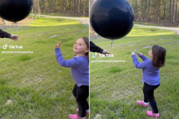 Bạn trẻ - Cuộc sống - Clip: Cô bé "phá hỏng" tiệc tiết lộ giới tính hút hơn 30 triệu lượt xem