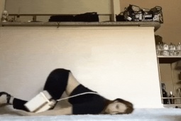 Tranh vui - Đỡ không nổi với những cô nàng lười biếng nhất hành tinh