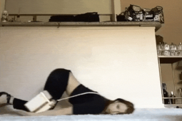 Tranh vui - Đỡ không nổi với những cô nàng lười biếng nhất hành tinh