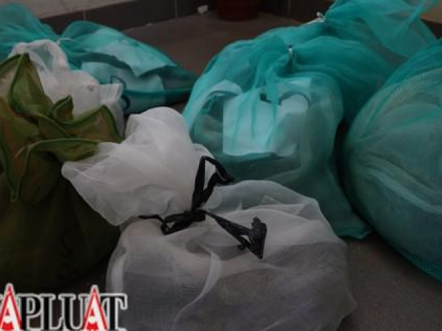 Tin tức trong ngày - Bị bắt khi chở 9 con rắn hổ chúa đi bán