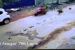 Video: Bị đàn chó hoang truy đuổi, xe máy kẹp 3 lao thẳng vào ô tô