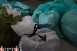 Bị bắt khi chở 9 con rắn hổ chúa đi bán