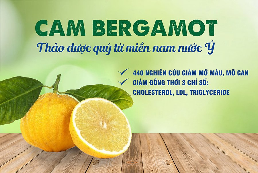 Mỡ máu Tâm Bình - Kết hợp bộ đôi tinh chất quý từ châu Âu - 2