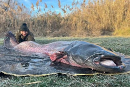 Đi câu cá chép, không ngờ bắt được “thủy quái” da trơn khổng lồ nặng hơn 100kg