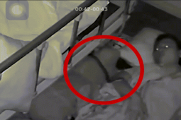 Phi thường - kỳ quặc - Kinh hãi cảnh rắn bò vào giường giữa đêm, người phụ nữ dùng tay sờ