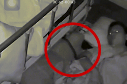 Phi thường - kỳ quặc - Kinh hãi cảnh rắn bò vào giường giữa đêm, người phụ nữ dùng tay sờ