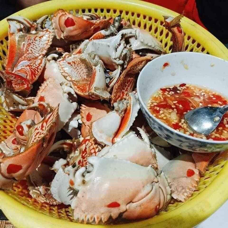 Người dân vùng biển giải thích rằng, có lẽ do khi chạm tay vào, dù có cặp càng khá rắn chắc nhưng con vật này chỉ biết co cúm lại nên bị núm, bắt dễ dàng.
