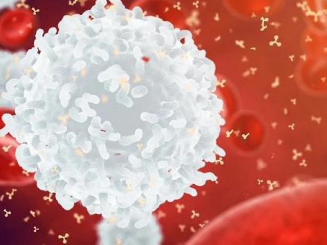 Đột phá: Virus cổ đại giúp tạo ra siêu vắc-xin ngừa và trị ung thư