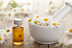 Làm đẹp - Loài hoa vừa đẹp lại giúp dưỡng da mịn màng mê ly