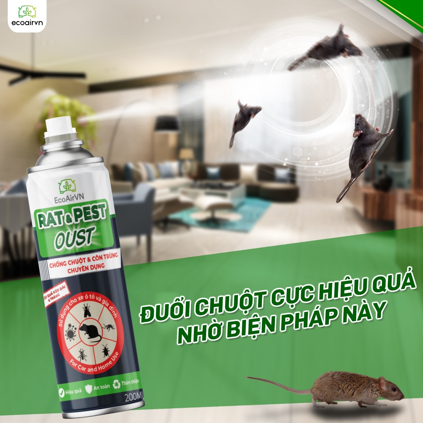 Chìa khoá giúp đuổi chuột hiệu quả mà vẫn an toàn - 2
