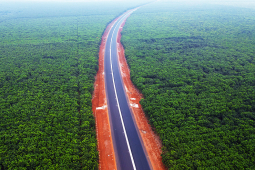 Tin tức trong ngày - Khám phá cung đường tuyệt đẹp xuyên rừng cao su, vườn thanh long trước "giờ G"