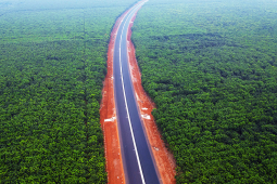 Tin tức trong ngày - Khám phá cung đường tuyệt đẹp xuyên rừng cao su, vườn thanh long trước &quot;giờ G&quot;