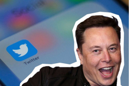 Công nghệ thông tin - Elon Musk chọc tức những người nổi tiếng từng chê bai dấu tick xanh của Twitter