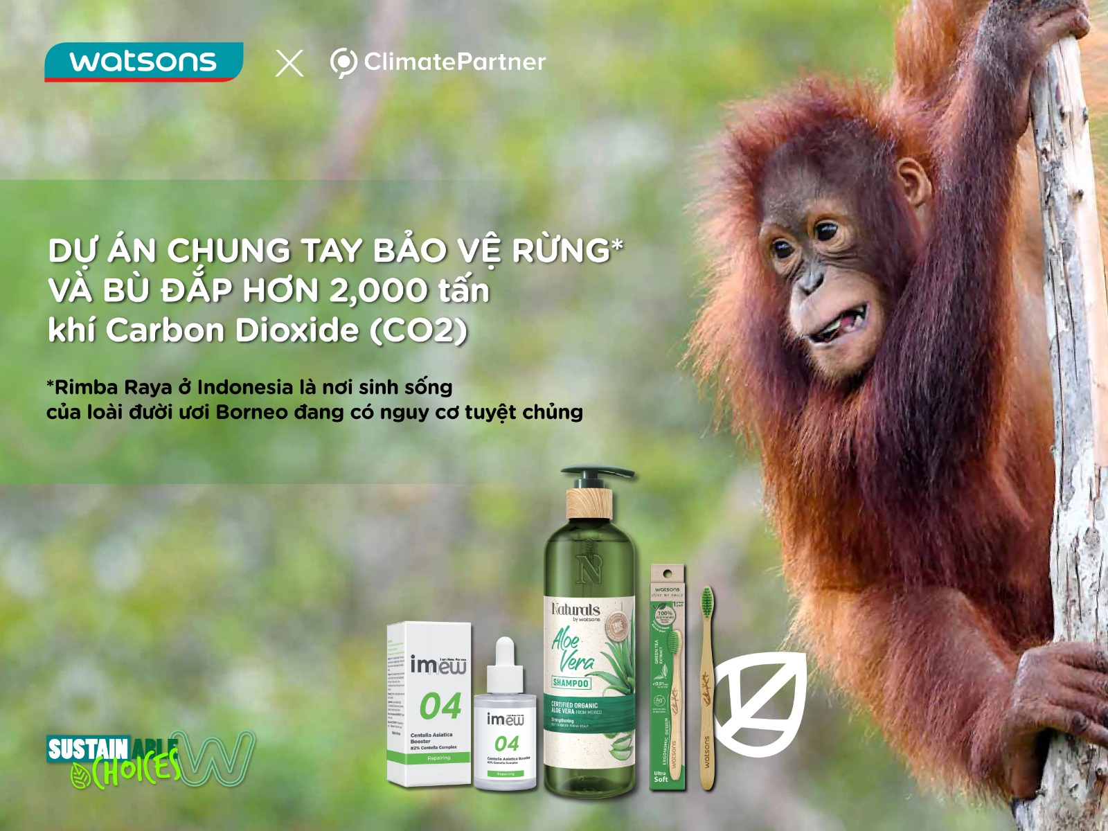 Watsons cam kết bù đắp hơn 2.000 tấn khí thải Carbon Dioxide bằng cách hỗ trợ các sáng kiến ​​Bảo vệ rừng của ClimatePartner ở Rimba Raya, Indonesia