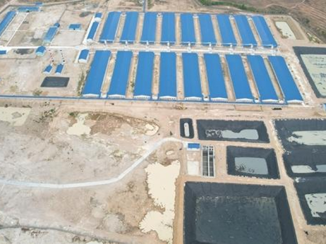 Tin tức trong ngày - Tiếng kêu cứu ở nơi hàng ngàn người dân phải bịt mũi bằng lá chanh cả ngày