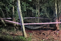 Pháp luật - Khởi tố người em sát hại anh trai