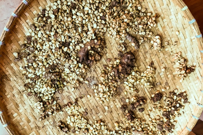 5 loại cà phê đắt nhất quả đất - 4