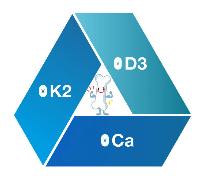 Canxi, Vitamin D3 và Vitamin K2 là 3 cạnh đều nhau trong tam giác tăng trưởng xương và chiều cao