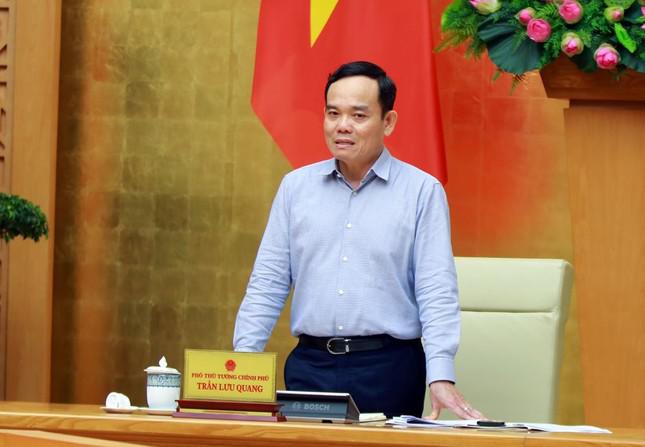 Phó Thủ tướng Trần Lưu Quang nhận thêm nhiệm vụ - 1