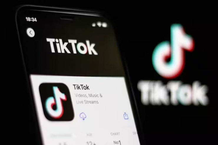 Nhạc chế độc hại trên TikTok Việt - 4