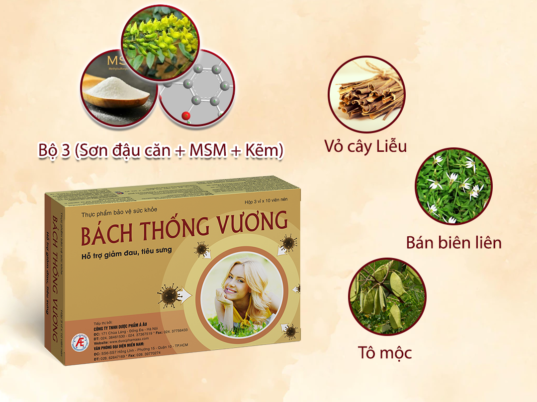 Bách Thống Vương có chứa các thảo dược quý giúp giảm đau an toàn, hiệu quả