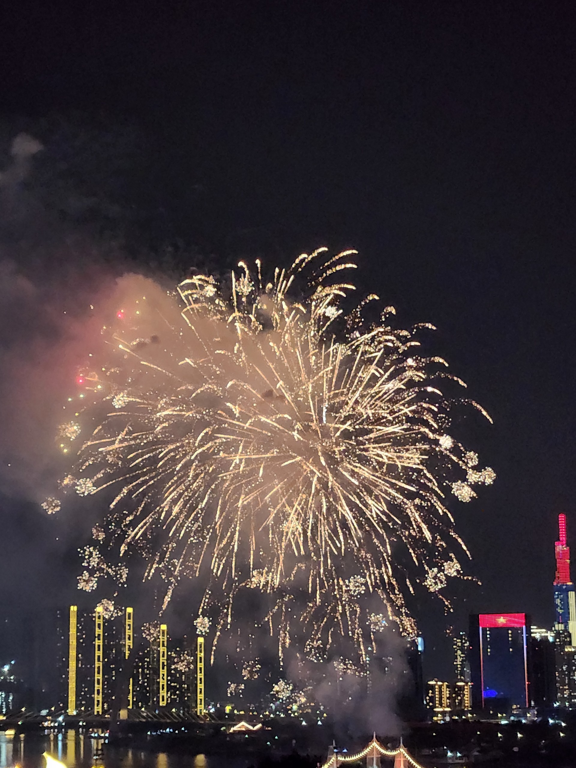 Khoảnh khắc pháo hoa rực sáng trên bầu trời TP.HCM - 24