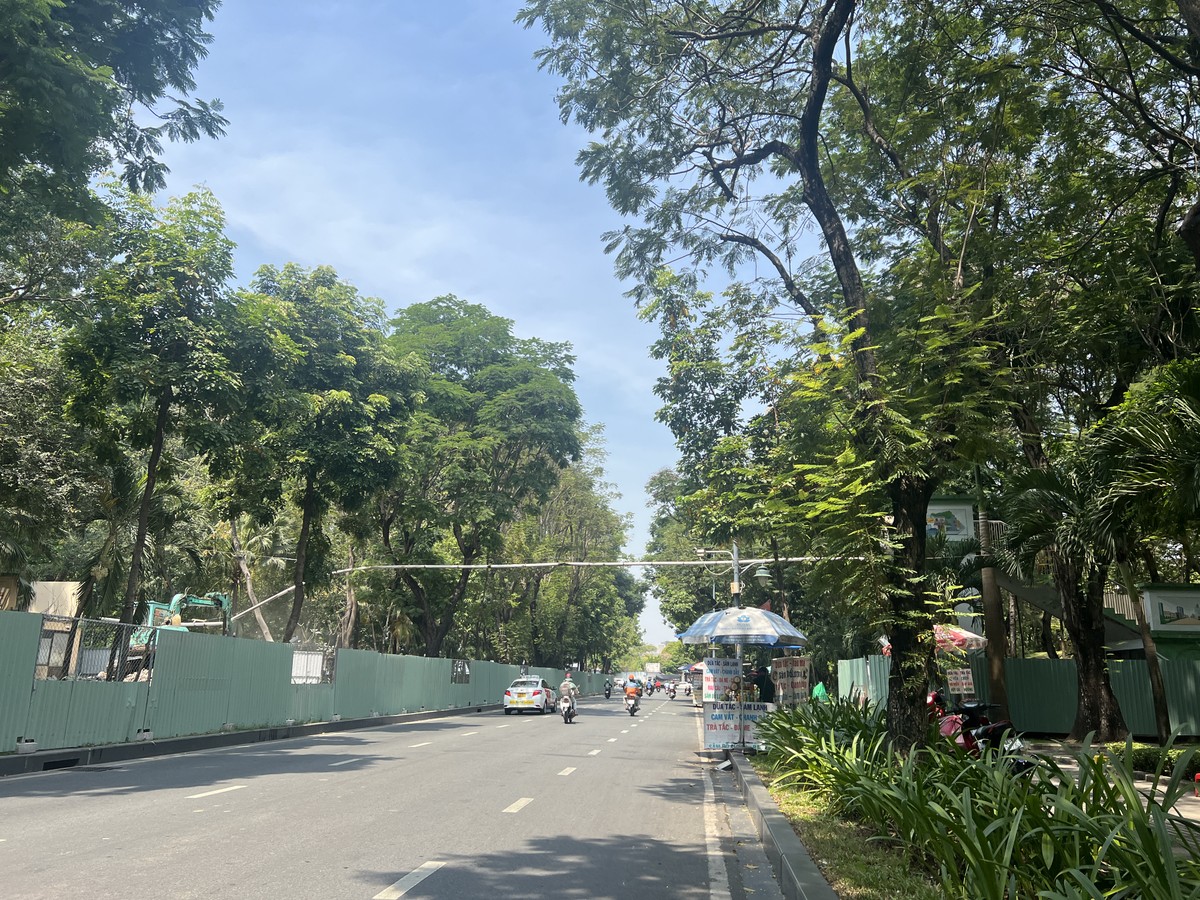 Nhà thầu đang di dời cây xanh, tháo dỡ cầu bộ hành ở đường nối Trần Quốc Hoàn - Cộng Hòa. Ảnh: ĐÀO TRANG