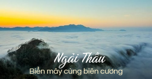 Săn mây Ngải Thầu - Biển mây cùng cao Y Tý