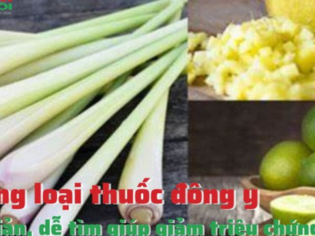 Sức khỏe đời sống - Những loại thuốc đông y dễ tìm giúp giảm triệu chứng Covid