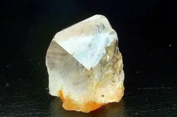 Theo chuyên gia, viên đá trong bụng con vịt là kim cương nước D cực kỳ quý hiếm.