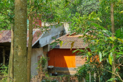 Tin tức trong ngày - Cận cảnh các "điểm nóng" về trật tự xây dựng ở Bình Định