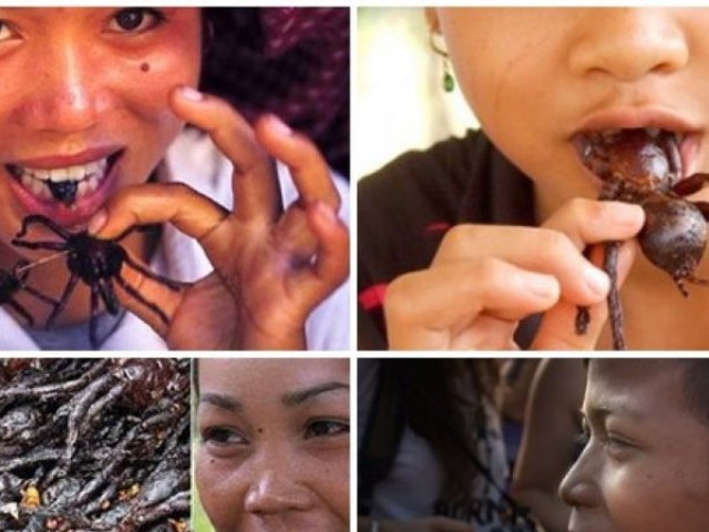 Ẩm thực lạ: Thưởng thức món côn trùng đầy lông lá của người Campuchia