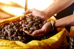 Thị trường - Tiêu dùng - Thứ 4 năm mới xuất hiện một lần, ở Việt Nam xem như "lộc trời" nhặt là "hốt bạc"