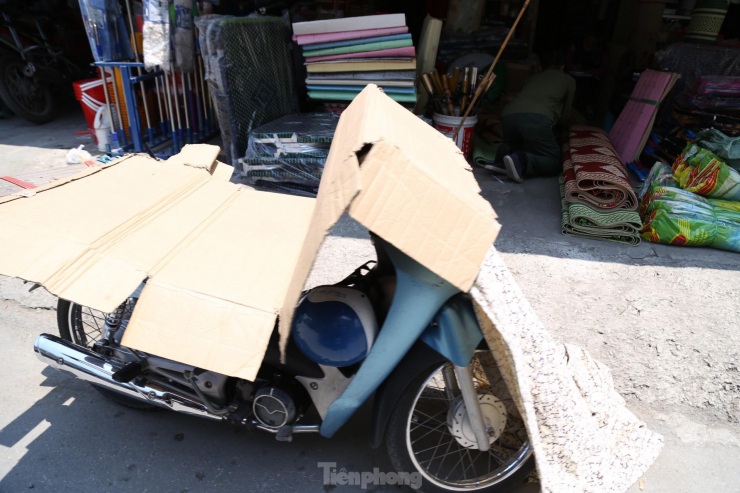 Bìa cát tông cũng trở thành vật che nắng