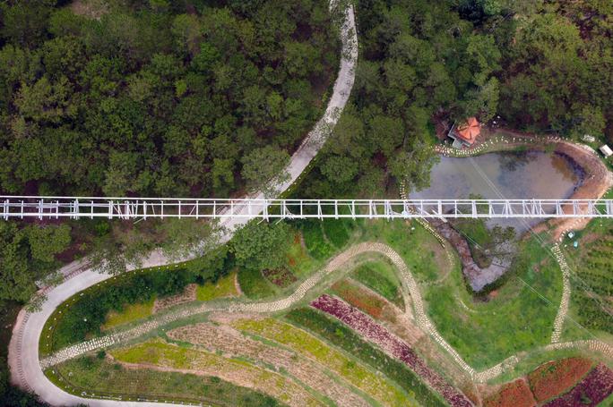 Tháng 4-2019, sau khi nghe báo cáo về phương án xây dựng hạng mục cầu đáy kính, lãnh đạo UBND tỉnh Lâm Đồng hoan nghênh và ủng hộ Công ty TTC Lâm Đồng về việc nghiên cứu và đề xuất đầu tư công trình này, giao các sở ngành hướng dẫn chủ đầu tư thực hiện thủ tục, hồ sơ pháp lý bổ sung hạng mục cầu đáy kính. Tuy nhiên không lâu sau đó, Công ty TTC Lâm Đồng đã cho xây dựng cầu đáy kính mặc dù chưa hoàn thành thủ tục pháp lý, chưa được cấp phép xây dựng.